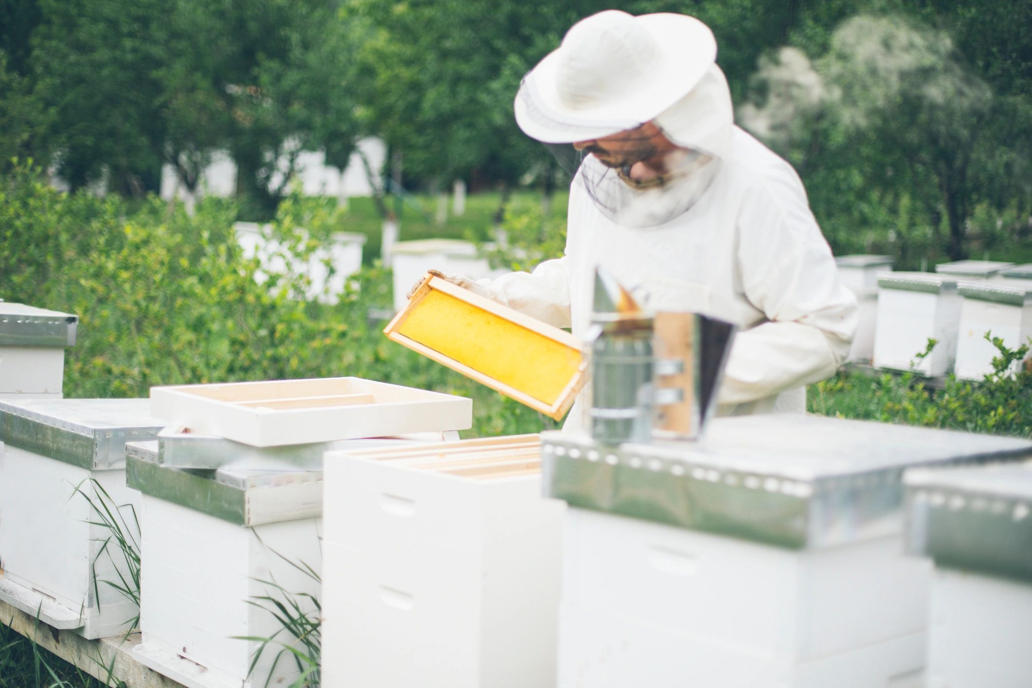 Beekeeper working near hive boxes