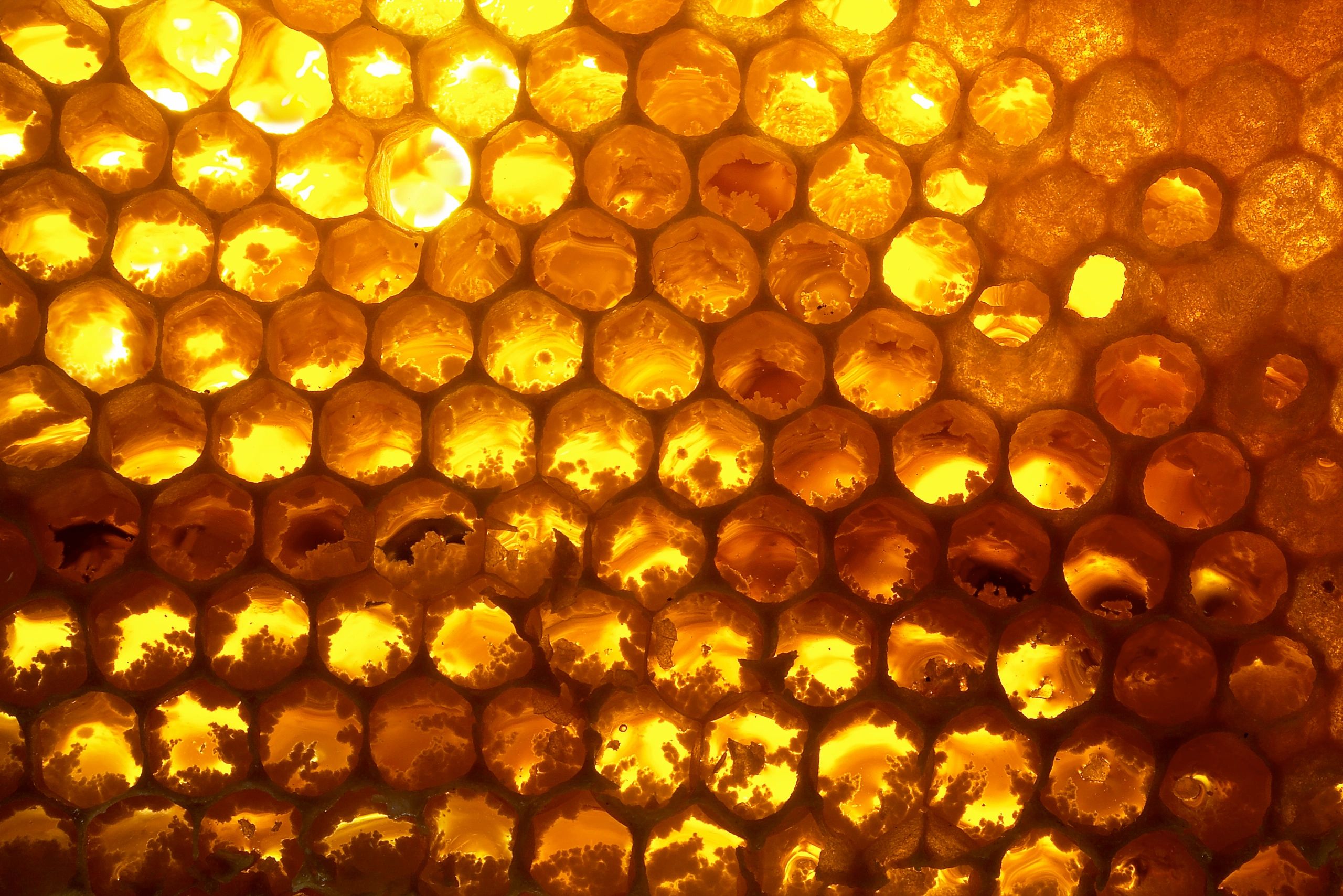 Close up of honeycomb pattern