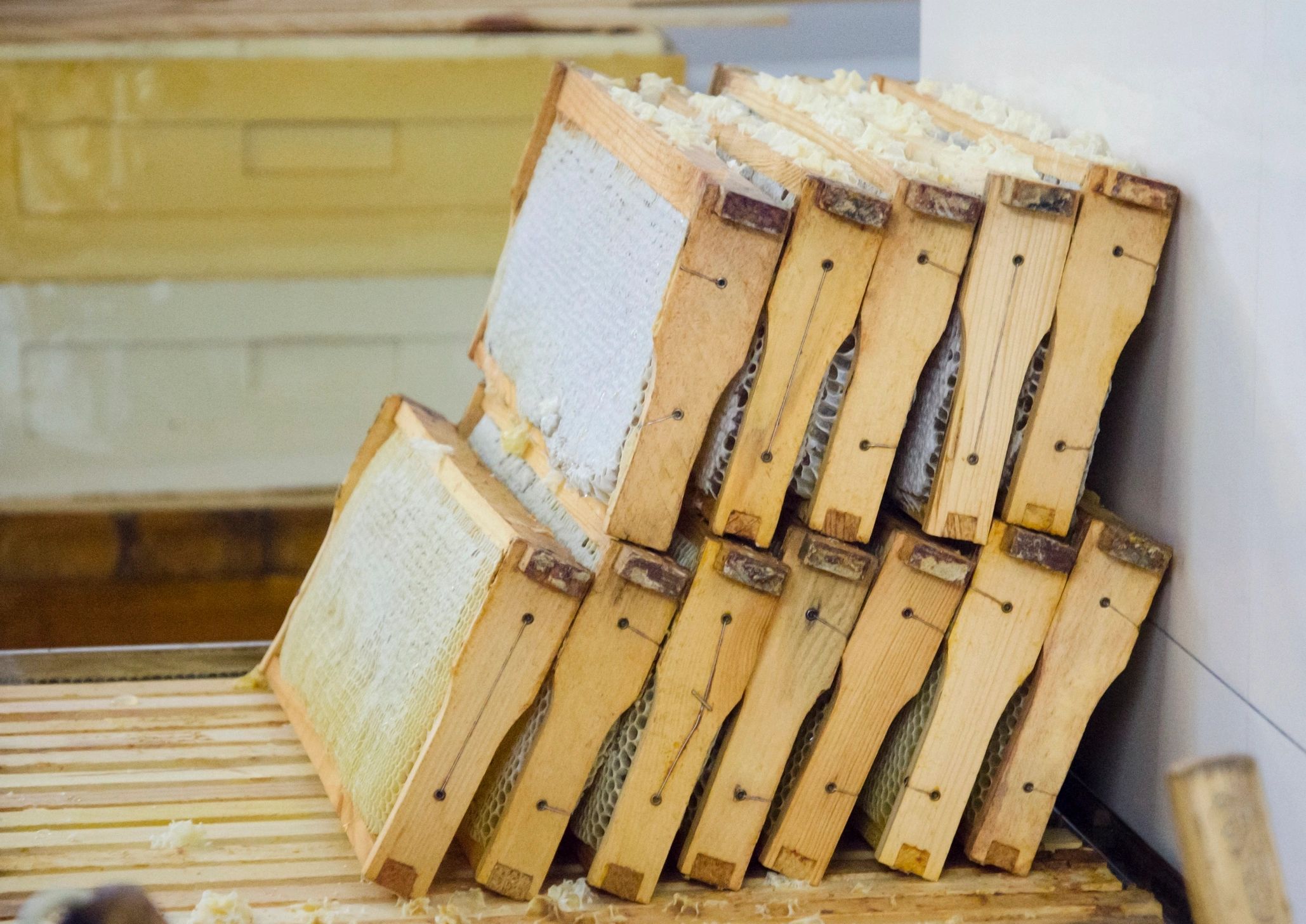 Honeycomb frame used for beekeeping instruction